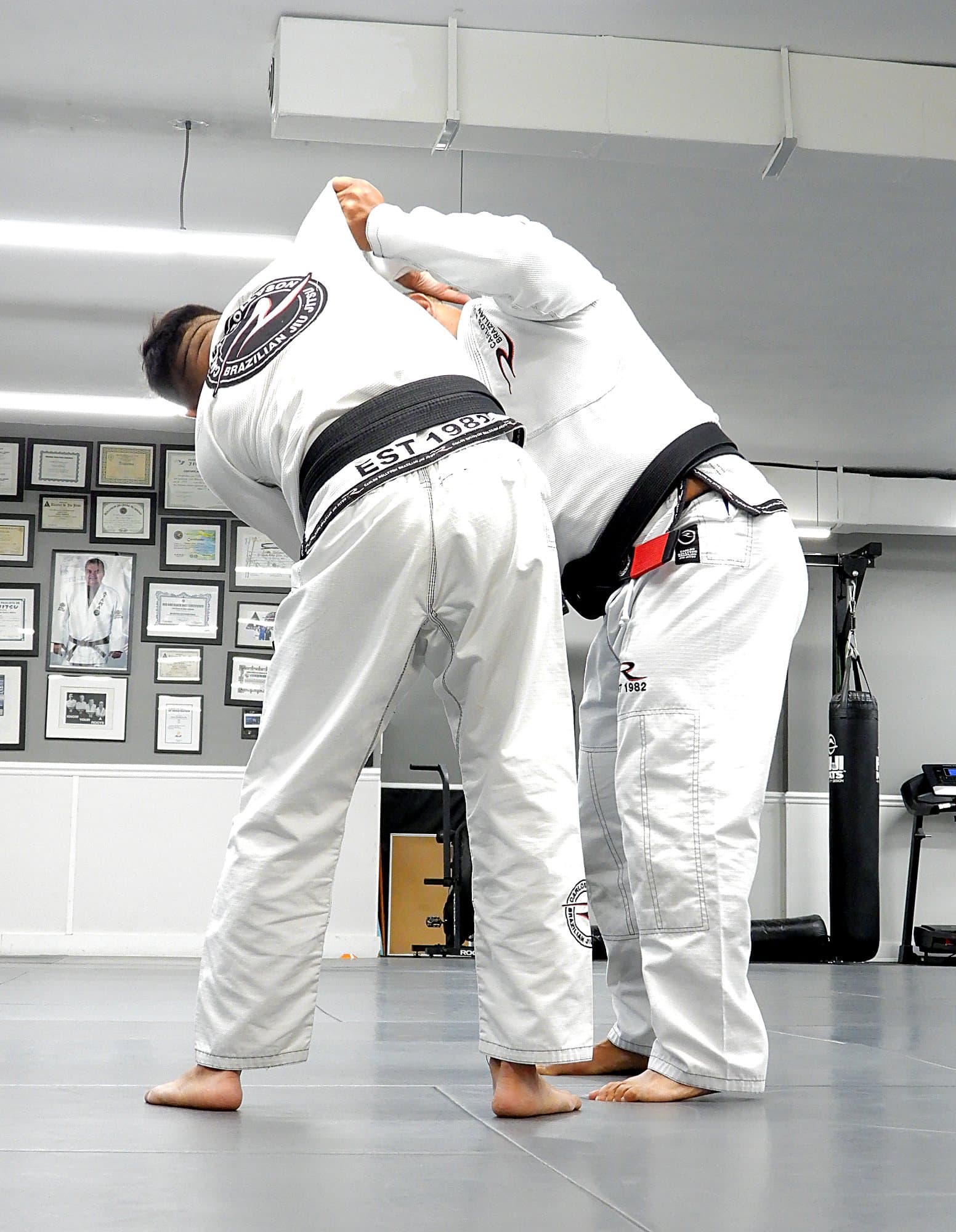 Two students practicing a standing technique in front of the lineage wall